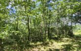 Terrain à vendre à Montdurausse — Vue dégagée — photo 1