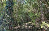 Terrain à vendre à Val de mercy — Vue dégagée — photo 2