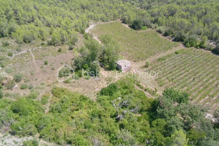 Terrain à vendre à Vacquieres — Vue nature — photo 2