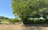 Terrain à vendre à Tresques — Vue dégagée — photo 1