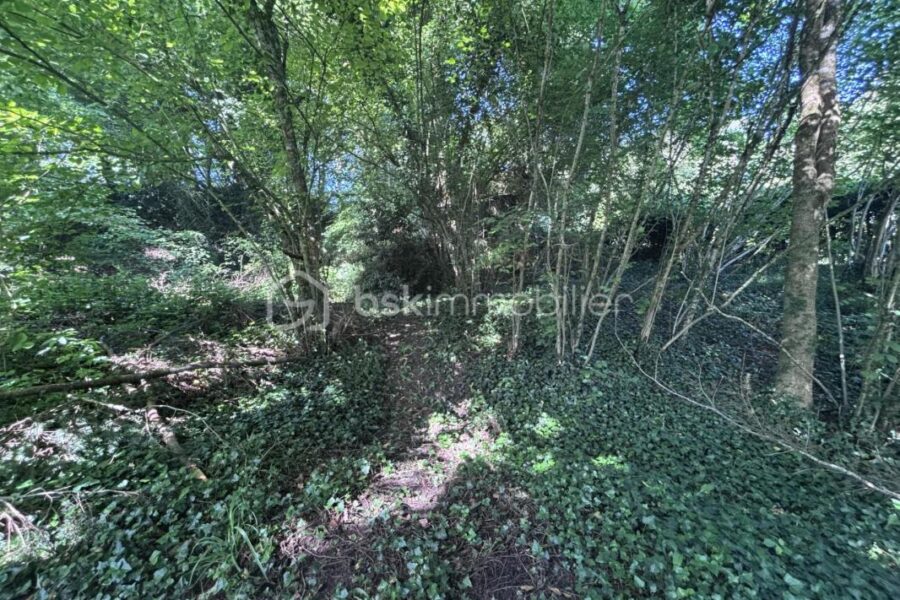 Terrain à vendre à Saint antoine du rocher — Vue dégagée — photo 2