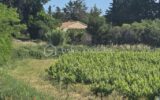 Maison à vendre à Saint pargoire — Vue nature — photo 2
