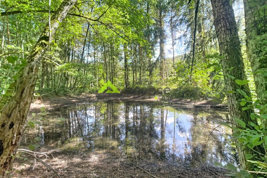 Terrain à vendre à Croze — Vue nature — photo 2