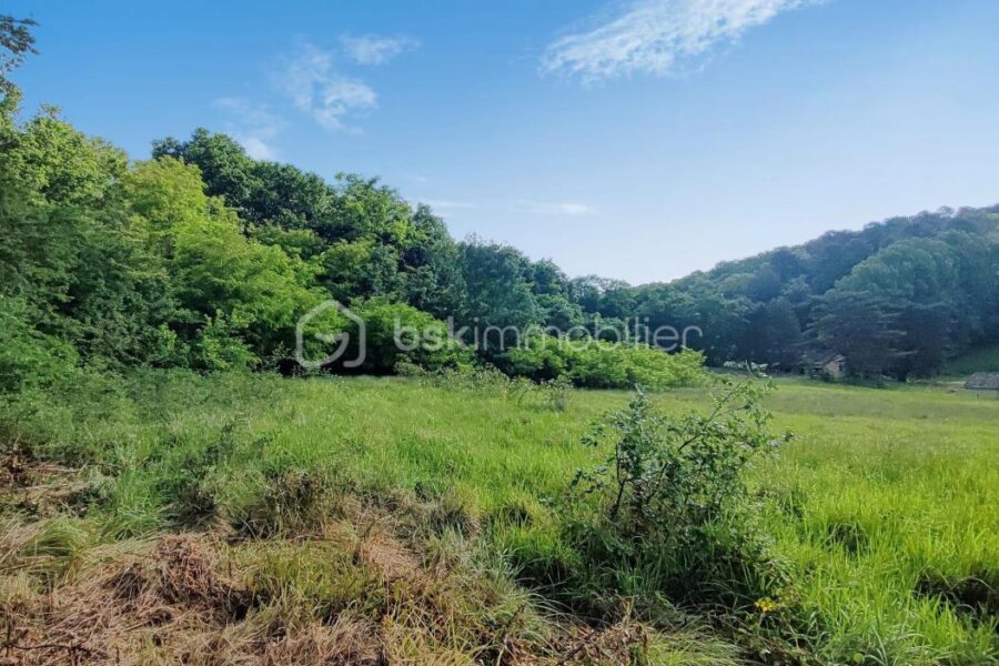 Terrain à vendre à Lembras — Vue nature — photo 2
