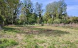 Terrain à vendre à Villeneuve l archeveque — Vue dégagée — photo 1