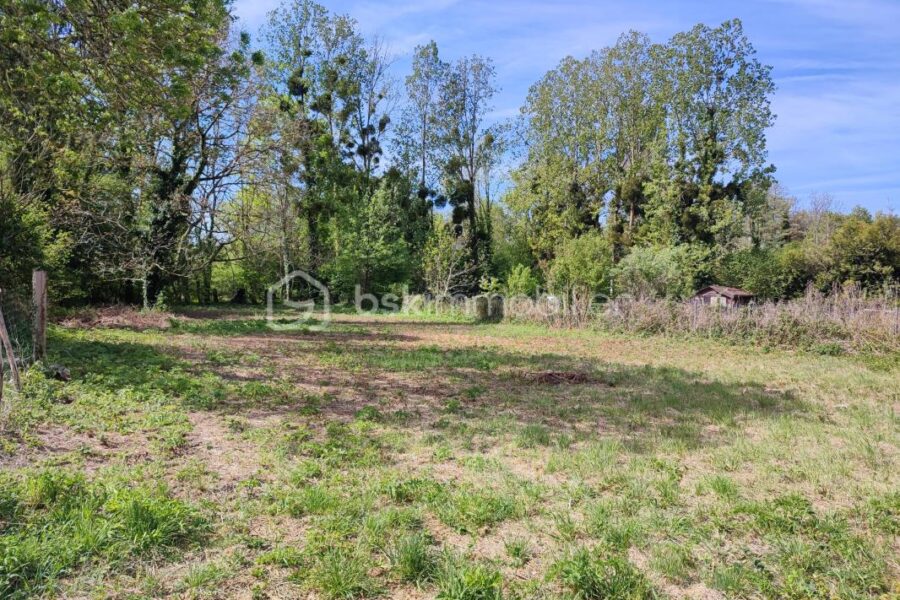 Terrain à vendre à Villeneuve l archeveque — Vue dégagée — photo 1