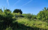 Terrain à vendre à Voisines — Vue nature — photo 2
