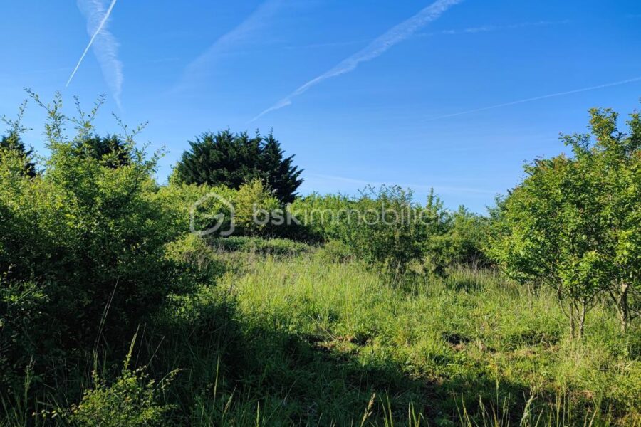Terrain à vendre à Voisines — Vue nature — photo 2
