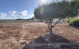 Terrain à vendre à Canet — Vue dégagée — photo 1