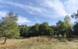 Terrain à vendre à Montauban — Vue dégagée — photo 1