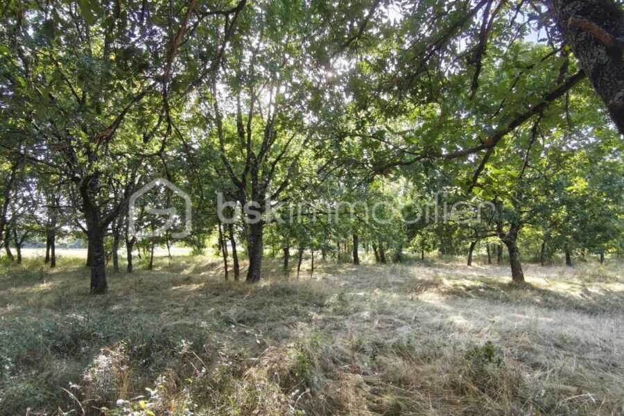 Terrain à vendre à Saint nauphary — Vue dégagée — photo 1
