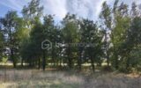 Terrain à vendre à Montauban — Vue dégagée — photo 1