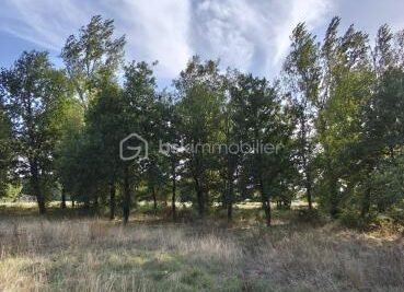 Terrain à vendre à Montauban