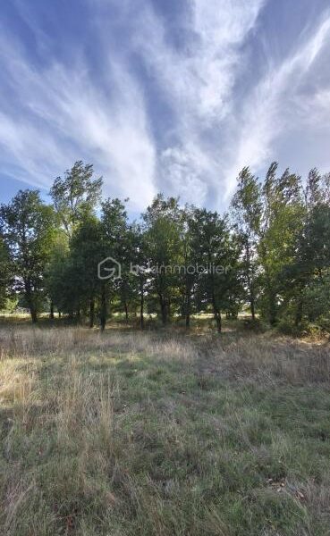Terrain à vendre à Montauban — Vue dégagée — photo 1