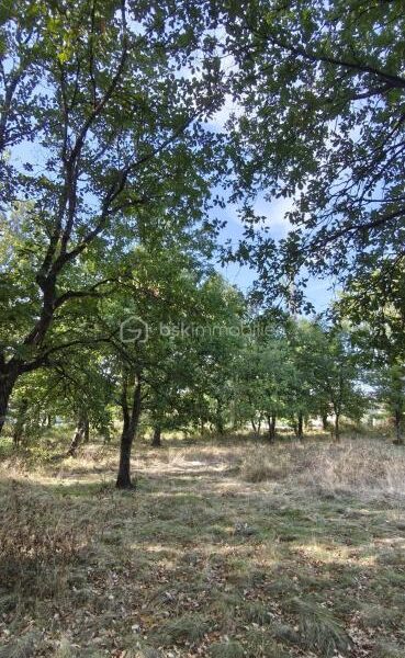 Terrain à vendre à Saint nauphary — Vue dégagée — photo 1