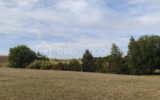 Terrain à vendre à Villemur sur tarn — Vue dégagée — photo 1