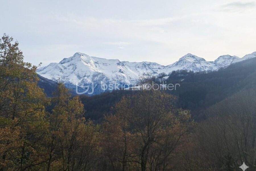 Maison à vendre à Antras — Vue montagne — photo 10