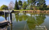 Terrain à vendre à Civray de touraine — Vue nature — photo 10