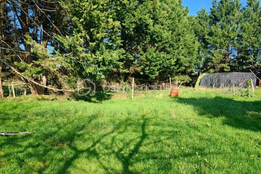 Maison à vendre à Liorac sur louyre — Vue nature — photo 10