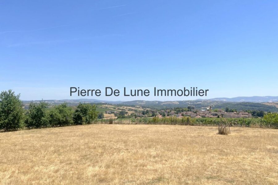 Maison à vendre à Saint verand — Vue nature — photo 10