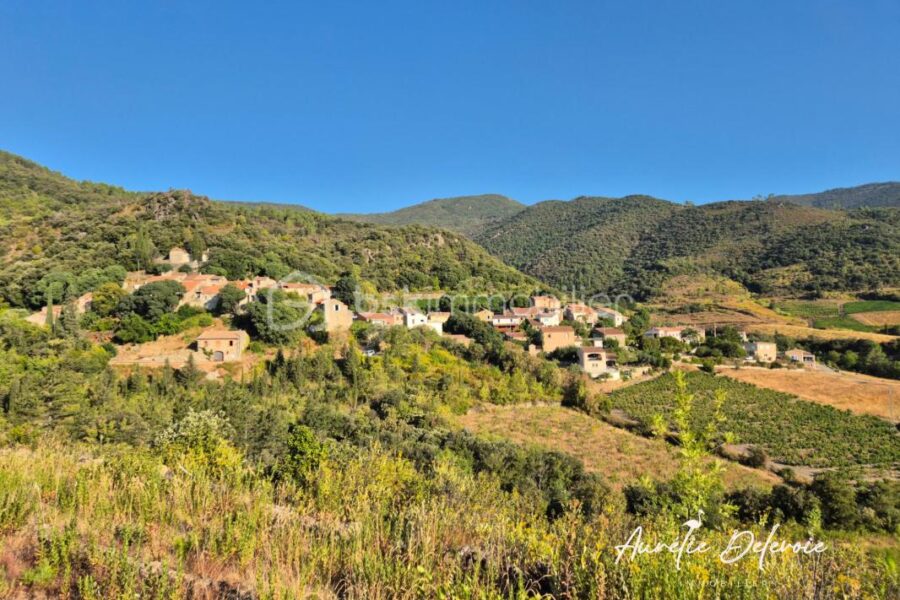 Maison à vendre à Roquebrun — Vue nature — photo 10