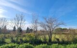 Terrain à vendre à Saint puy — Vue nature — photo 10