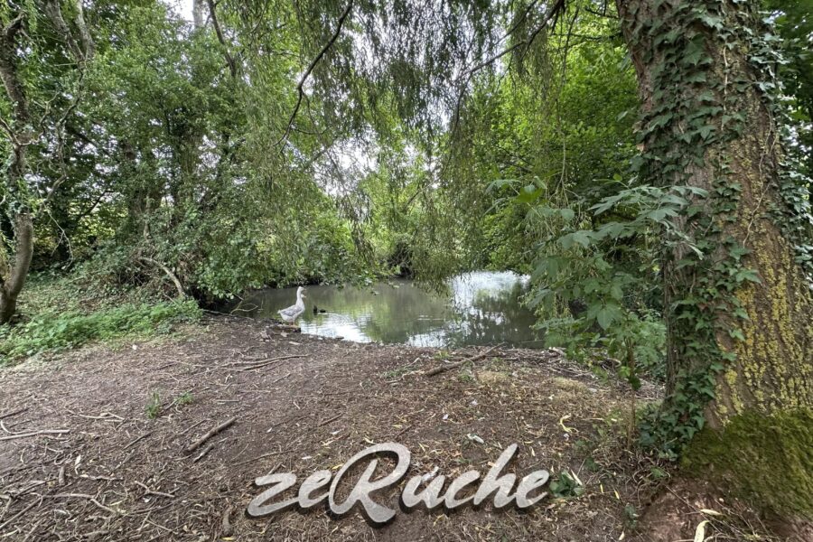 Maison à vendre à Cahagnes — Vue nature — photo 45