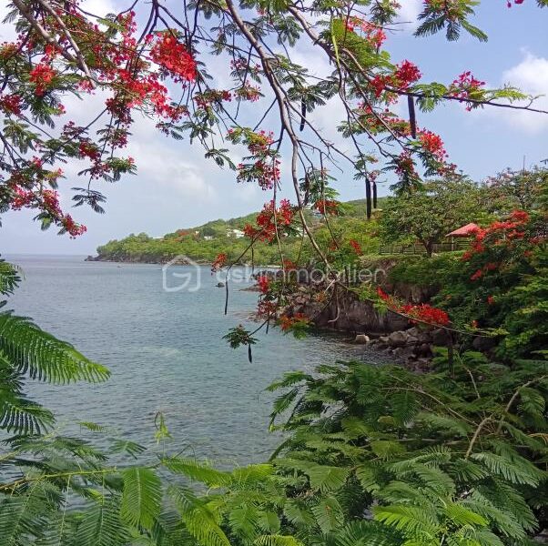 Maison à vendre à Pointe noire — Vue mer — photo 11