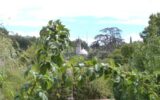 Maison à vendre à Riberac — Vue nature — photo 11