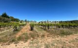 Terrain à vendre à Carcès — Vue vignes — photo 3