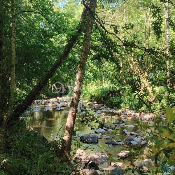 Maison à vendre à Montjaux — Vue nature — photo 12