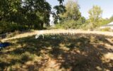 Maison à vendre à Pluvigner — Vue dégagée — photo 12