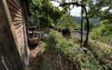 Maison à vendre à Montjaux — Vue nature — photo 12