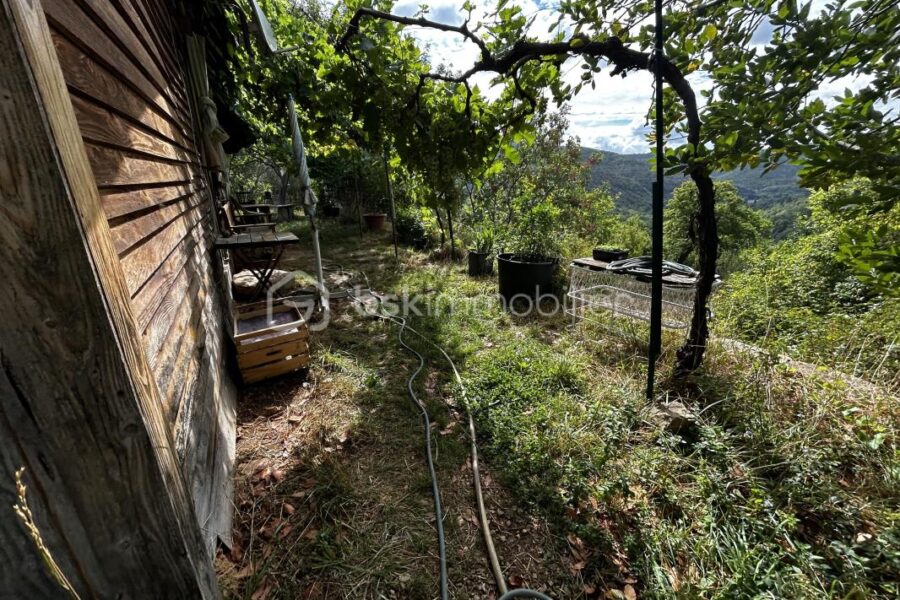 Maison à vendre à Montjaux — Vue nature — photo 12