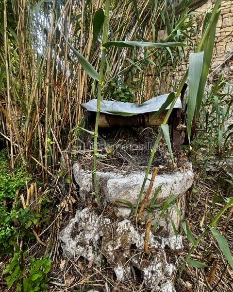 Maison à vendre à Ruffec — Vue nature — photo 12