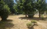 Appartement à vendre à Villiers sur marne — Vue nature — photo 13