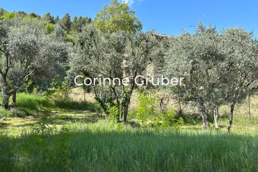 Maison à vendre à Digne-les-bains — Vue montagne — photo 9
