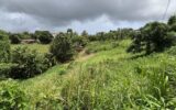 Terrain à vendre à Rivière-salée — Vue nature — photo 1