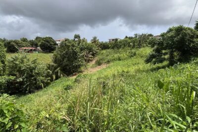 Terrain à vendre à Rivière-salée