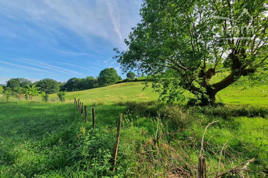 Terrain à vendre à Mouguerre — Vue nature — photo 2