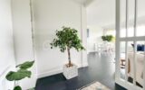 Appartement à vendre à Marly le roi — Vue nature — photo 13