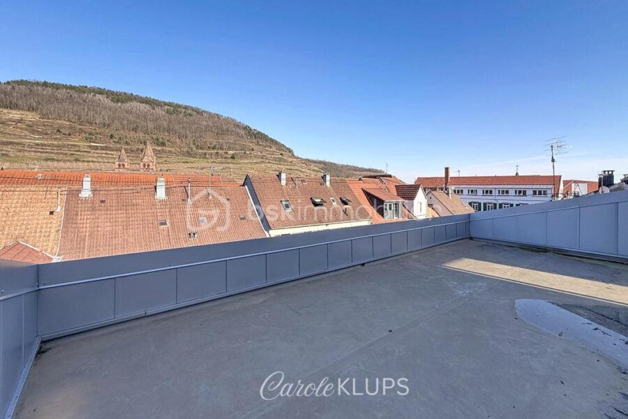 Maison à vendre à Guebwiller — Vue montagne — photo 13
