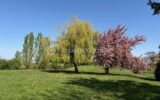Appartement à vendre à Nozay — Vue parc & jardin — photo 13