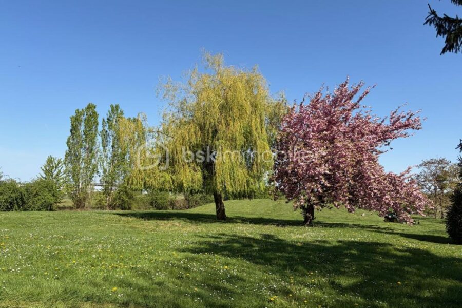 Appartement à vendre à Nozay — Vue parc & jardin — photo 13
