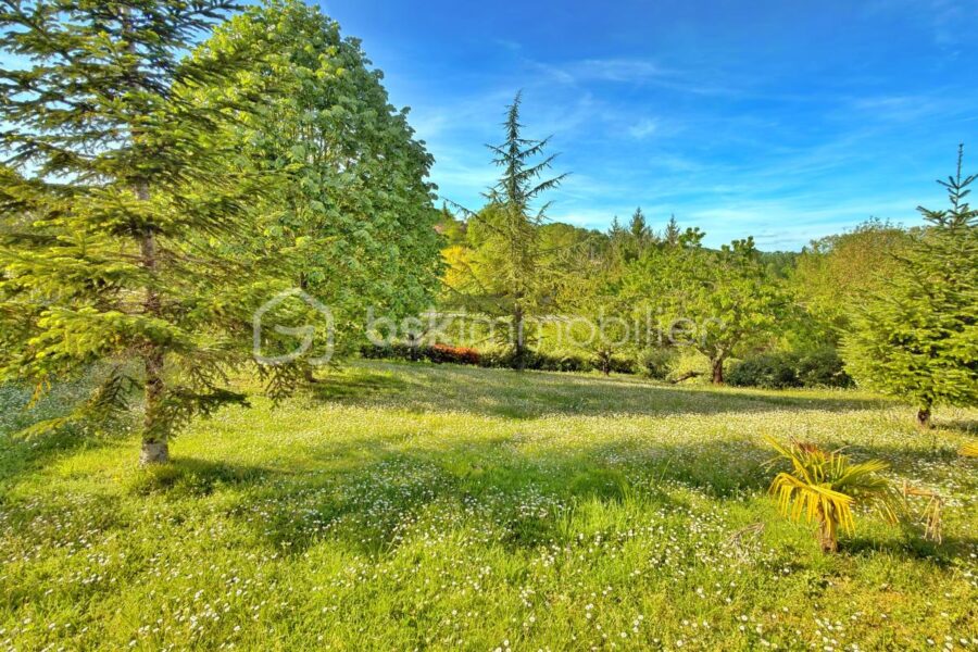 Maison à vendre à Aubeterre sur dronne — Vue nature — photo 13