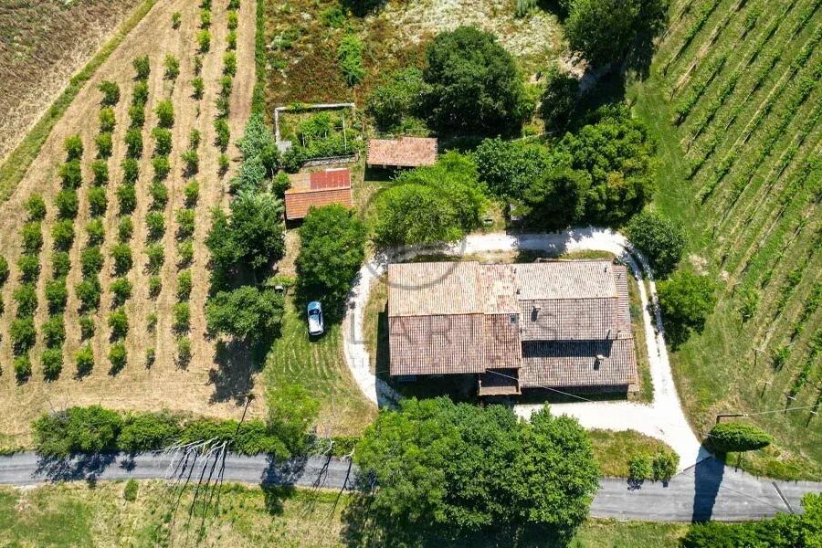 Maison à vendre à Serra san quirico — Vue nature — photo 13