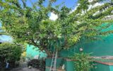 Maison à vendre à Le gosier — Vue mer — photo 14