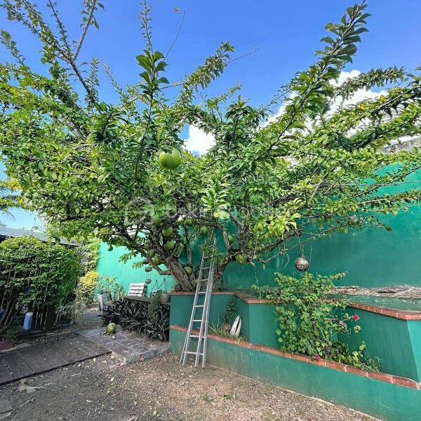 Maison à vendre à Le gosier — Vue mer — photo 14