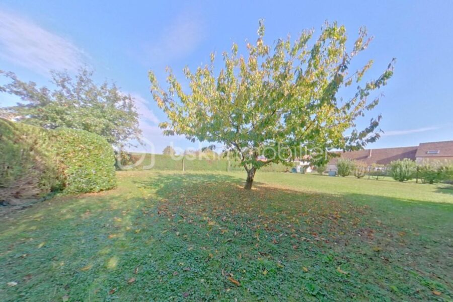 Maison à vendre à Lailly — Vue nature — photo 16