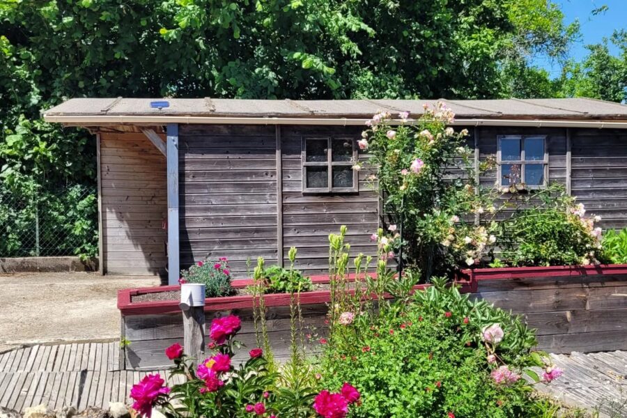 Maison à vendre à Mazangé — Vue nature — photo 13